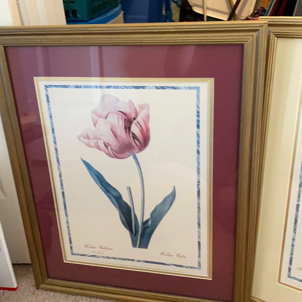2 beautiful floral art in frames to brighten up a room